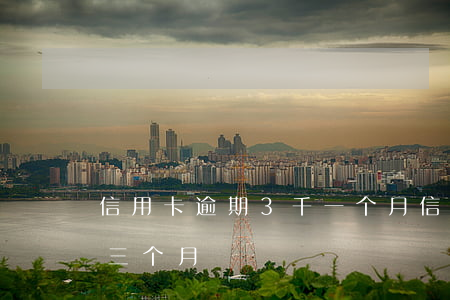 信用卡逾期3千一个月(信用卡3000逾期三个月)