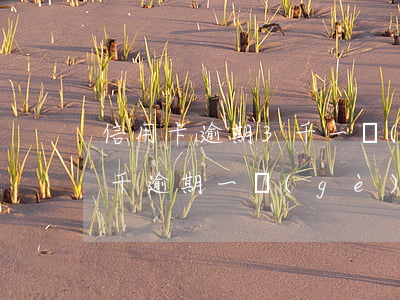 信用卡逾期3千一個(gè)月多少利息(三千逾期一個(gè)月利息要多少)
