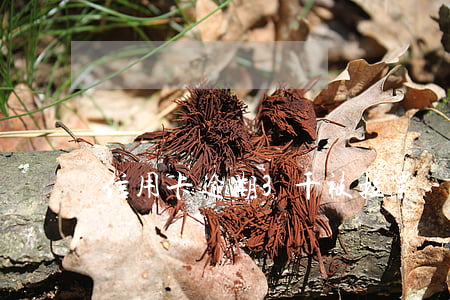 信用卡逾期3千被拉黑