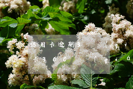 信用卡逾期3塊錢(qián)不知道(信用卡300塊錢(qián)逾期5天嚴(yán)重嗎)