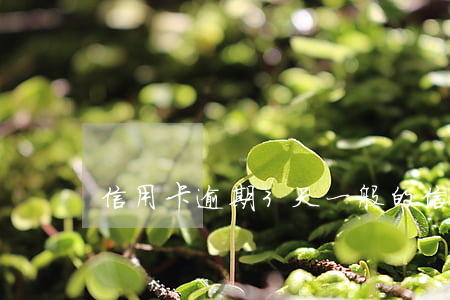 信用卡逾期3天（一般的信用卡逾期三天）