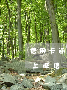 信用卡逾期3天上了征信(信用卡逾期兩天會上征信嗎)
