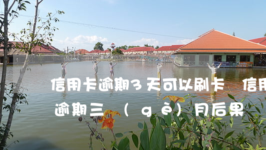 信用卡逾期3天可以刷卡嗎(信用卡3000逾期三個(gè)月后果)