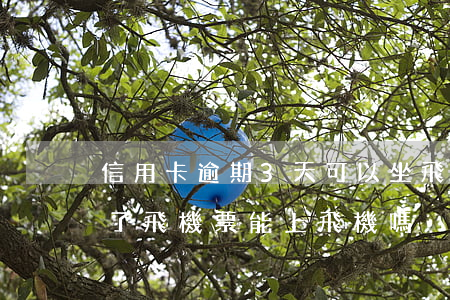 信用卡逾期3天可以坐飛機嗎(信用卡逾期買了飛機票能上飛機嗎)