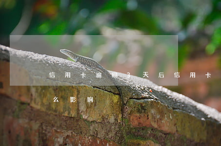 信用卡逾期3天后(信用卡逾期3天后会有什么影响)