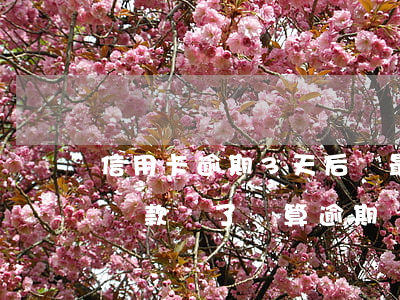 信用卡逾期3天后還最低還款 把信用卡最低還款還了還算逾期嗎