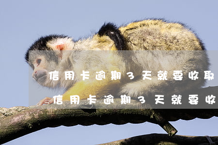 信用卡逾期3天就要收取手續(xù)費-信用卡逾期3天就要收取手續(xù)費嗎