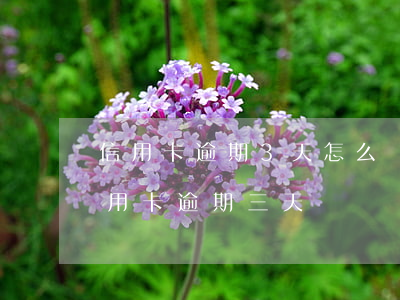 信用卡逾期3天怎么樣-每個(gè)月信用卡逾期三天