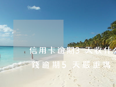 信用卡逾期3天收什么費用(信用卡300塊錢逾期5天嚴重嗎)