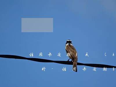 信用卡逾期3天會(huì)上征信嗎平安銀行-信用卡逾期3天會(huì)上征信嗎平安銀行