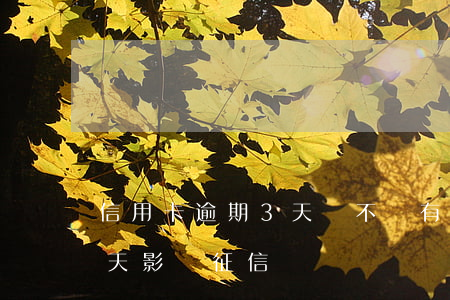 信用卡逾期3天會不會有事(還信用卡逾期三天影響征信嗎)