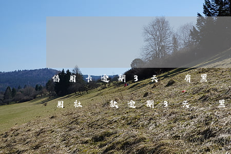 信用卡逾期3天會有黑點(diǎn)嗎(信用社貸款逾期3天會黑點(diǎn)嗎)