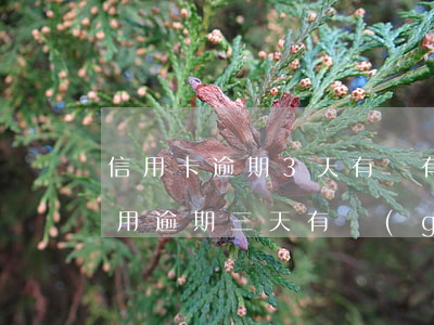 信用卡逾期3天有沒有關(guān)系(信用逾期三天有關(guān)系嗎)