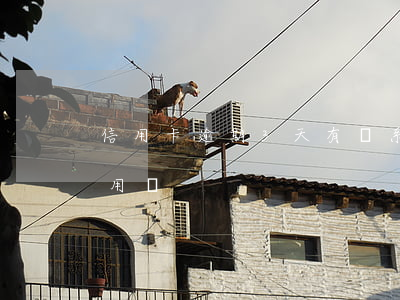 信用卡逾期3天有關系嗎(逾期3天會影響信用嗎)