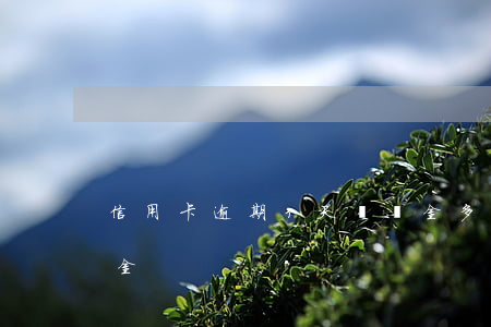 信用卡逾期3天滯納金多少(逾期幾天有滯納金)