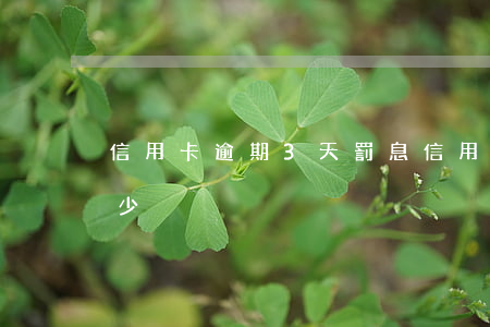 信用卡逾期3天罰息(信用卡逾期三天罰息多少)
