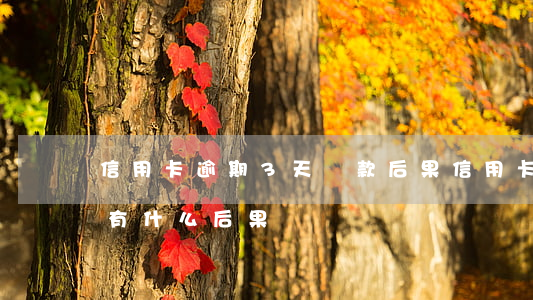 信用卡逾期3天還款后果(信用卡逾期三天會有什么后果)