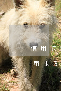 信用卡逾期3天還清計(jì)算利息嗎(信用卡3天內(nèi)還款算逾期嗎)