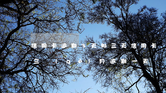 信用卡逾期3天那三天(信用卡連續(xù)三個(gè)月逾期一天)