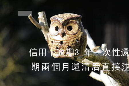 信用卡逾期3年一次性還清(三年前信用卡逾期兩個月還清后直接注銷了)