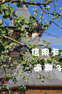 信用卡逾期3年不還起訴會坐牢嗎-信用卡逾期3年不還起訴會坐牢嗎知乎