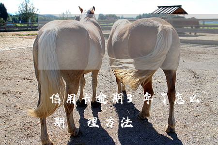 信用卡逾期3年了怎么辦(信用卡逾期3年后期處理方法)
