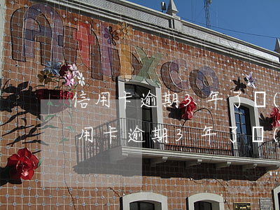信用卡逾期3年了會(huì)怎么處理(信用卡逾期3年了會(huì)怎么處理呀)