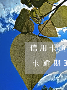 信用卡逾期3年了,為什么銀行不處理-信用卡逾期3年了,為什么銀行不處理了