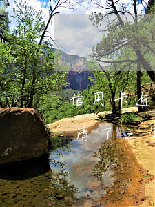 信用卡逾期3年了現(xiàn)在全部還清了(三年前信用卡逾期兩個(gè)月還清后直接注銷了)
