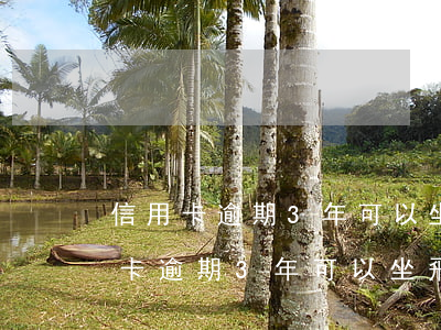 信用卡逾期3年可以坐飛機(jī)嗎(信用卡逾期3年可以坐飛機(jī)嗎)