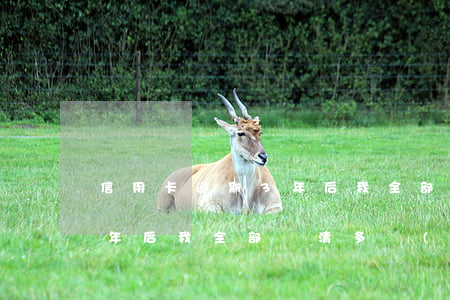 信用卡逾期3年后我全部還清(信用卡逾期3年后我全部還清多長(zhǎng)時(shí)間可以貸款)