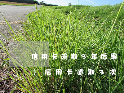 信用卡逾期3年后果嚴重嗎(三年內(nèi)信用卡逾期3次)