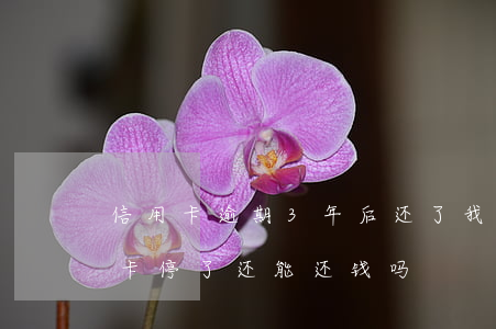 信用卡逾期3年后还了(我信用卡逾期了三年 卡停了 还能还钱吗)