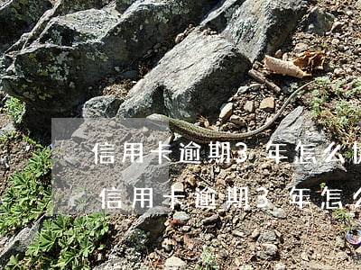 信用卡逾期3年怎么協(xié)商分期還（信用卡逾期3年怎么協(xié)商分期）