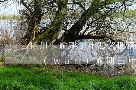 信用卡逾期3年怎么把款還了-欠信用卡3萬(wàn)逾期三年要還多少