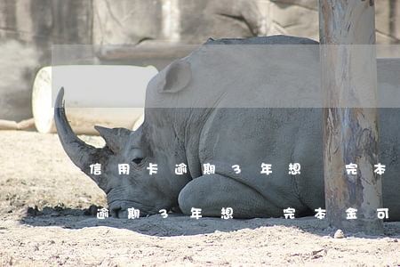 信用卡逾期3年想還完本金可以嗎-信用卡逾期3年想還完本金可以嗎怎么辦