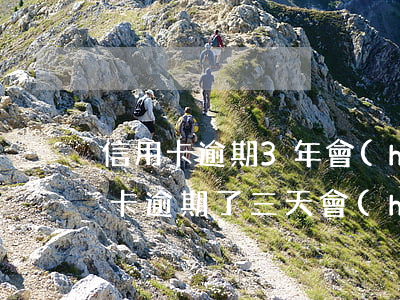 信用卡逾期3年會(huì)上征信嗎(信用卡逾期了三天會(huì)上征信嗎)