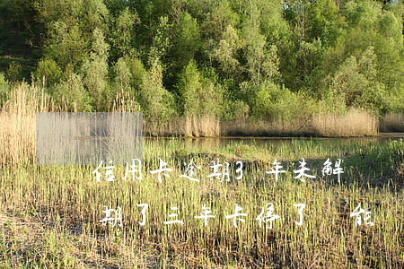 信用卡逾期3年未解凍還可以嗎(我信用卡逾期了三年 卡停了 還能還錢嗎)