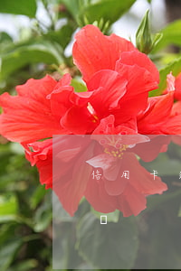 信用卡逾期3年未還款(信用卡3年未還怎么辦)