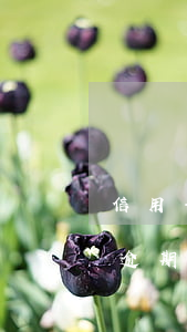 信用卡逾期3年沒有被起訴為什么-信用卡逾期3年沒有被起訴為什么還要還款