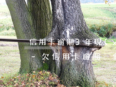 信用卡逾期3年現(xiàn)在怎么還款-欠信用卡逾期三個(gè)多月了還錢會(huì)有什么影響