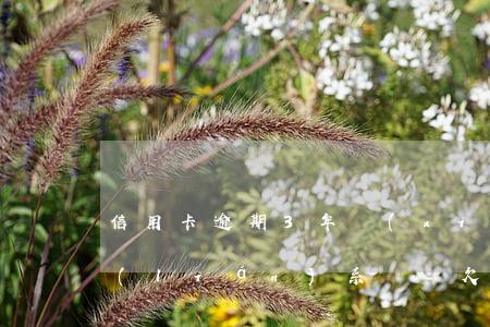 信用卡逾期3年現(xiàn)在想還款聯(lián)系誰-欠信用卡逾期3年