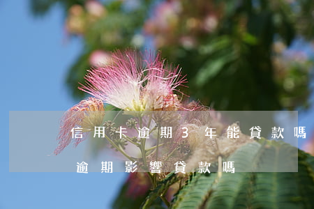 信用卡逾期3年能貸款嗎(信用卡三年前有過逾期影響貸款嗎)