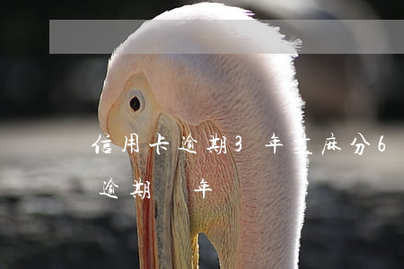 信用卡逾期3年芝麻分600多(信用卡3千逾期兩年)