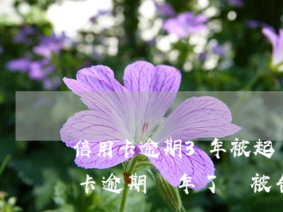 信用卡逾期3年被起訴了-3000的信用卡逾期幾年了會被告嗎