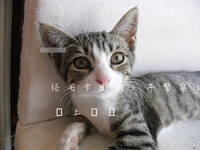 信用卡逾期3年警察上門(信用卡逾期公安局會上門嗎)