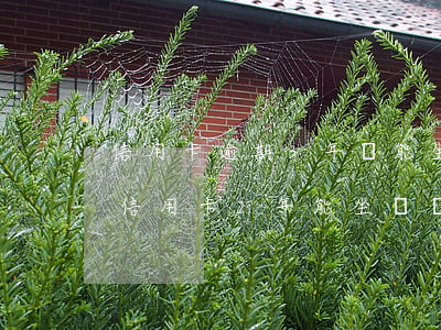 信用卡逾期3年還能坐飛機(jī)嗎-欠信用卡2年能坐飛機(jī)嗎