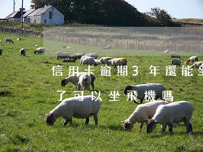 信用卡逾期3年還能坐飛機(欠信用卡好幾年了可以坐飛機嗎)