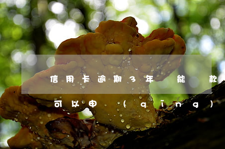 信用卡逾期3年還能還款嗎(逾期還清兩年后可以申請(qǐng)信用卡嗎)