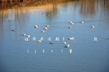 信用卡逾期3影響貸款嗎(信用卡逾期三期嚴(yán)重嗎)